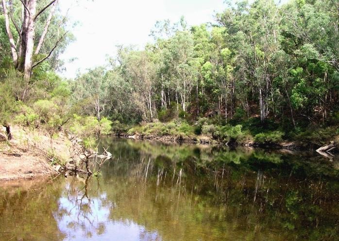 Murray River Walk, Lane Poole Reserve, WalkGPS bushwalk, Darling Range ...